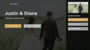 3.2 Single Video Gallery (Scene-Selection Overlay)